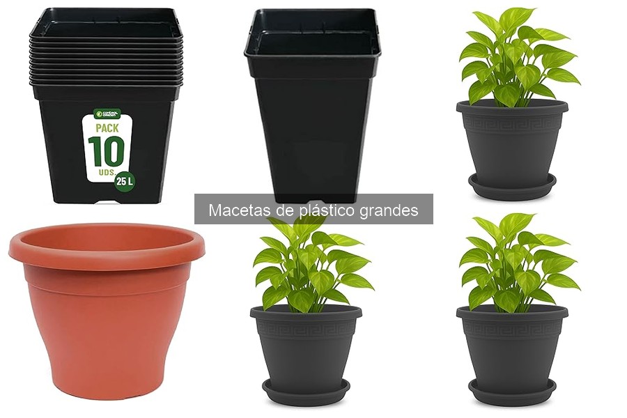 Mejores macetas de plástico grandes para plantas de interior