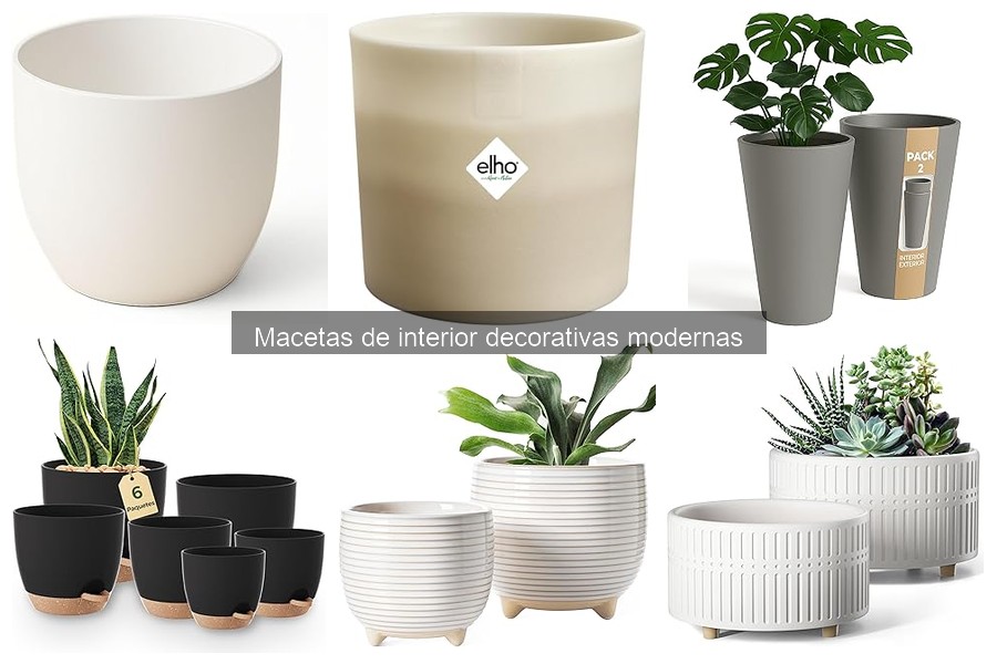 Mejores macetas decorativas modernas para interiores