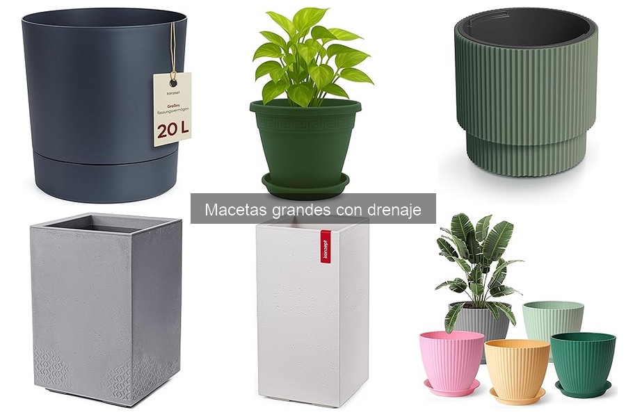 Mejores macetas grandes con drenaje para interiores
