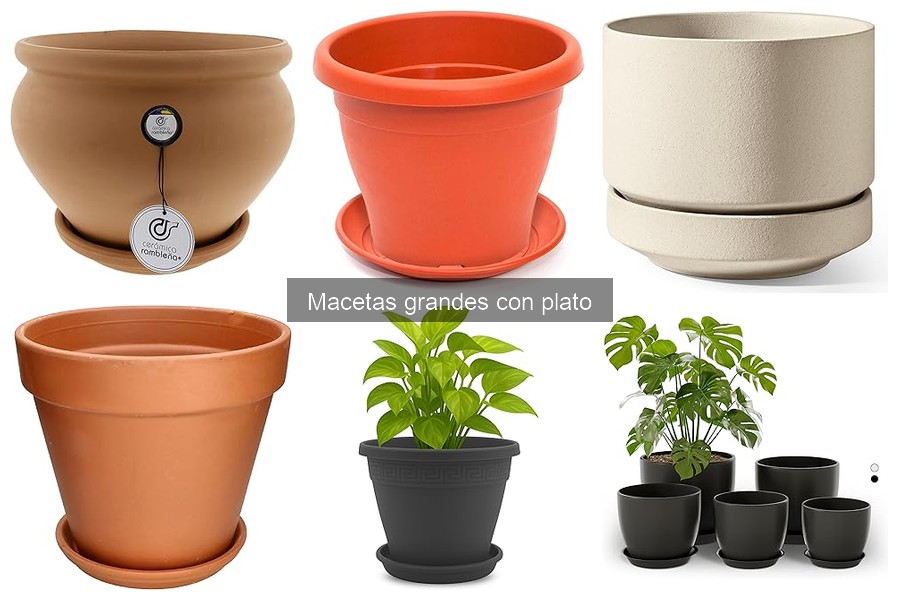 Mejores macetas grandes con plato para plantas de interior
