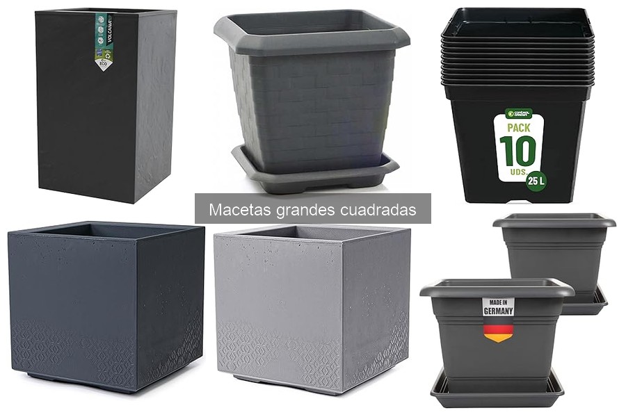 Mejores macetas grandes cuadradas para plantas de interior