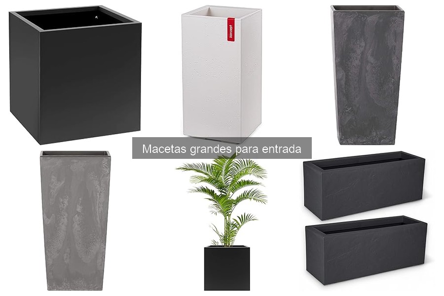 Mejores macetas grandes para entradas: comparativa y recomendaciones