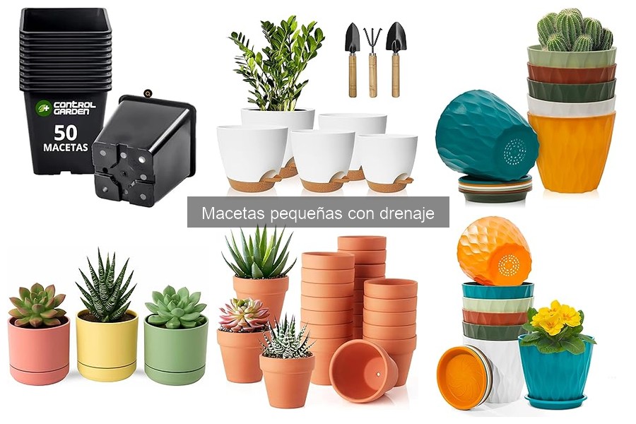 Mejores macetas pequeñas con drenaje para interiores