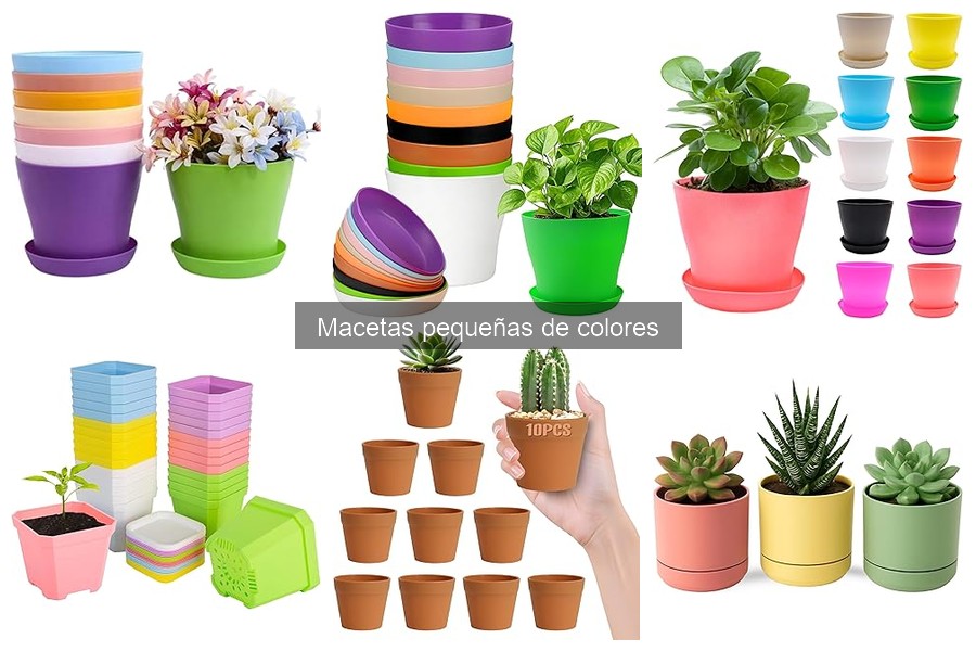Mejores macetas pequeñas de colores para interiores