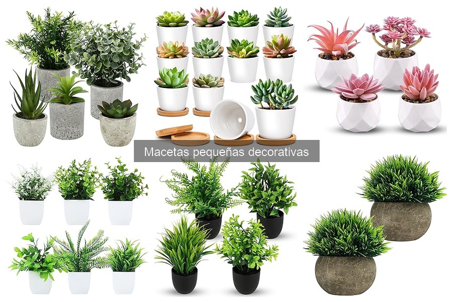 Mejores macetas pequeñas decorativas para interior 2023