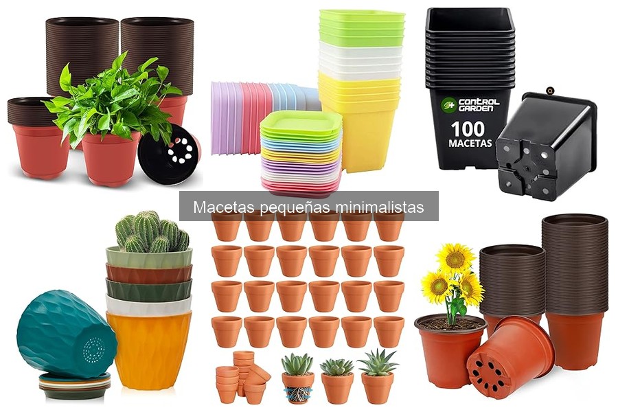 Mejores macetas pequeñas minimalistas para departamentos