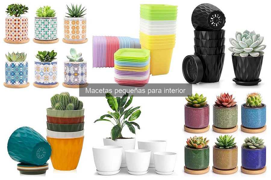 Mejores macetas pequeñas para apartamentos: elegancia y funcionalidad
