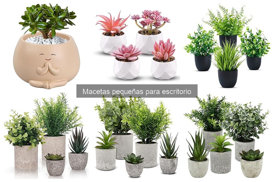 Mejores macetas pequeñas para escritorio: Comparativa 2023