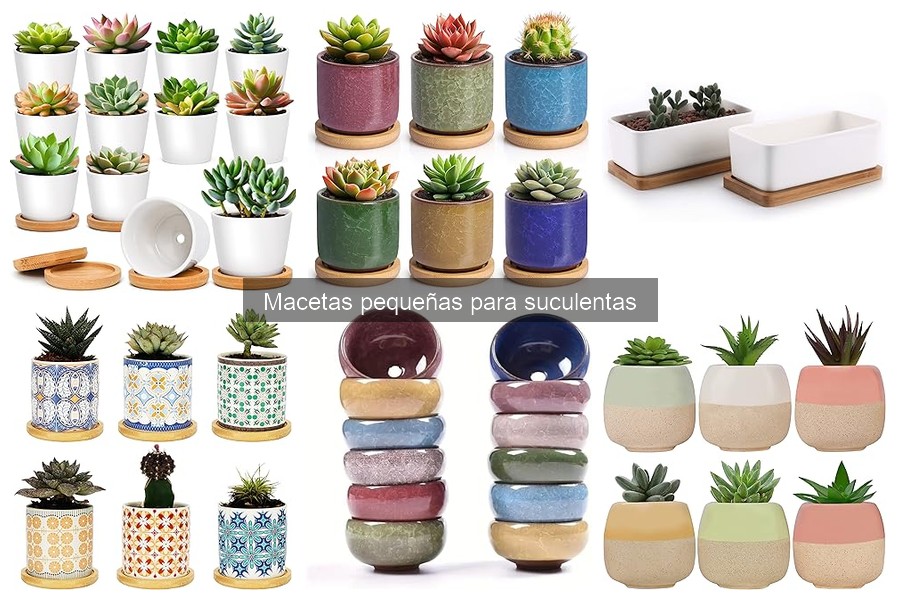Mejores macetas pequeñas para suculentas: comparativa 2023