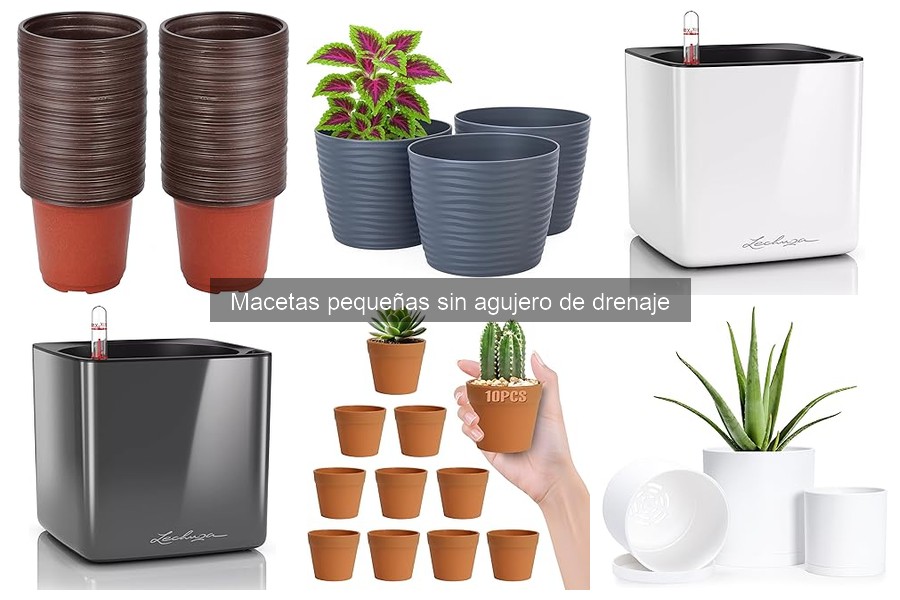 Mejores macetas pequeñas sin agujero para plantas específicas