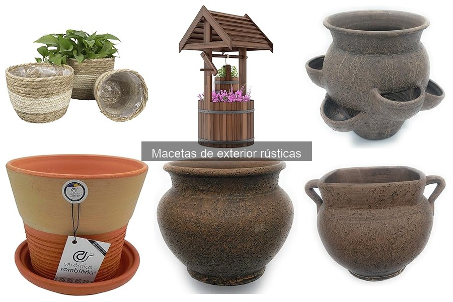 Mejores macetas rústicas para plantas de exterior