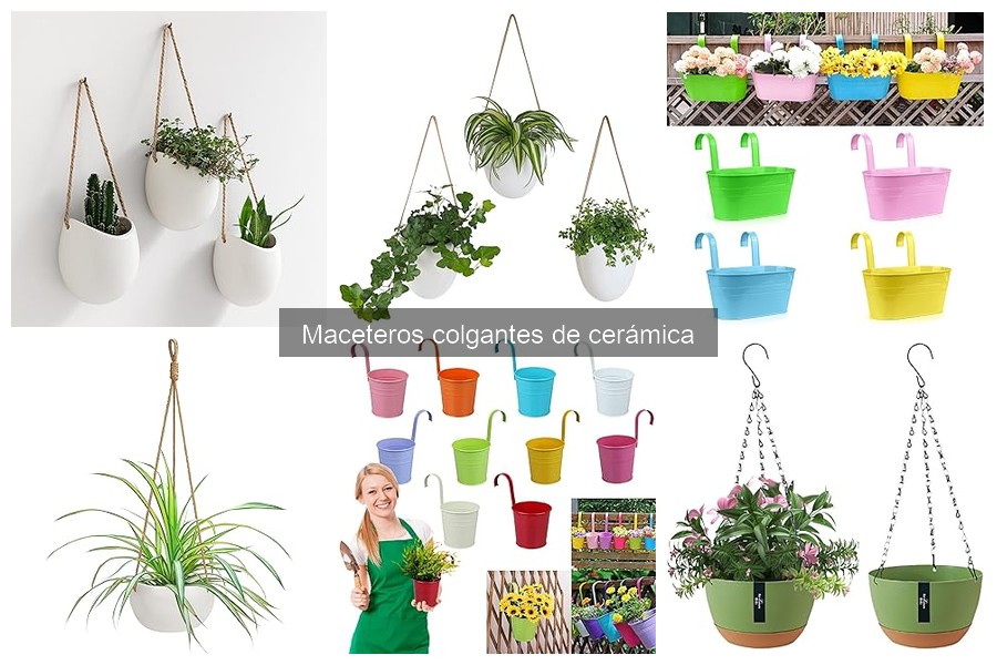 Mejores maceteros colgantes de cerámica para interiores