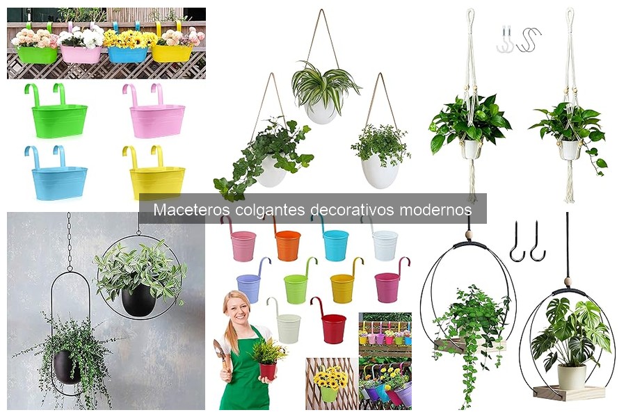 Mejores maceteros colgantes decorativos para interiores