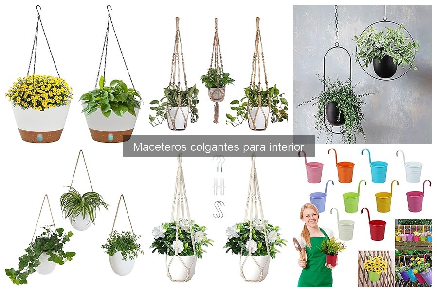 Mejores maceteros colgantes para espacios pequeños en interiores