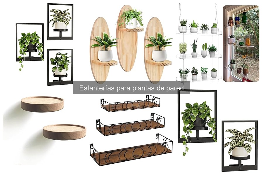 Mejores marcas de estanterías para plantas de pared