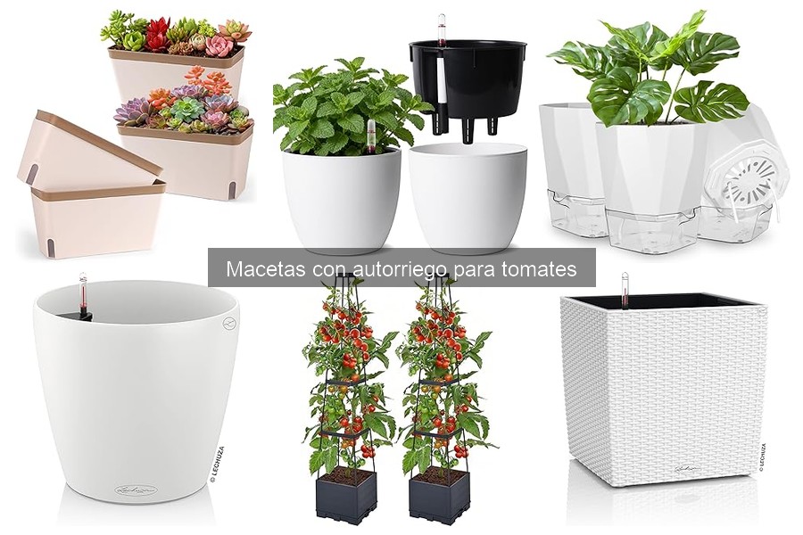Mejores marcas de macetas con autorriego para tomates