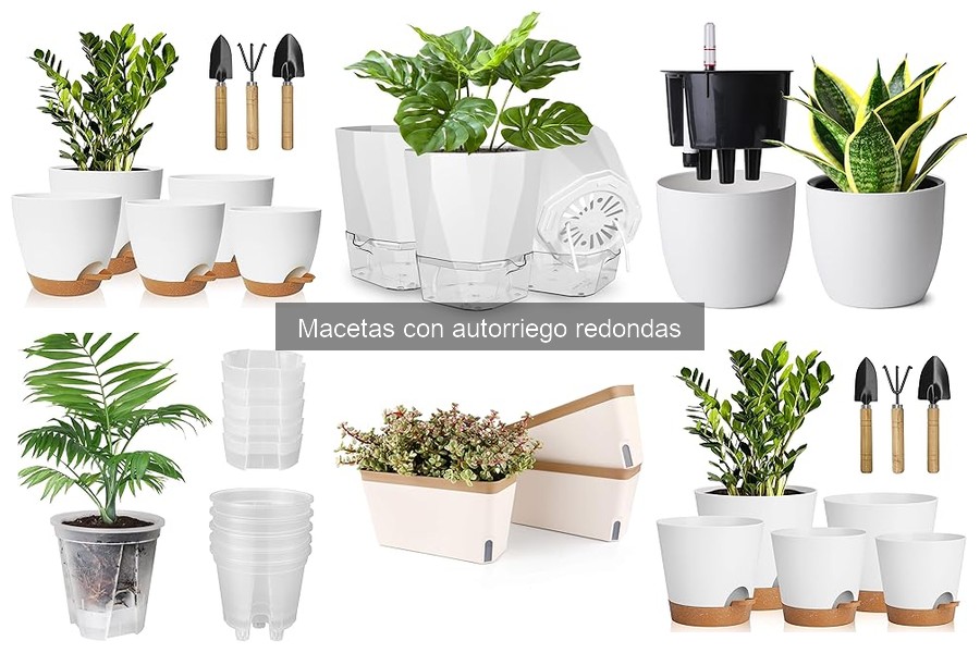 Mejores marcas de macetas con autorriego redondas en 2023