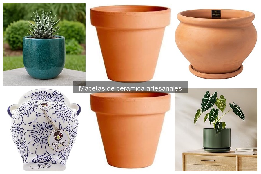 Mejores marcas de macetas de cerámica artesanales para decoración