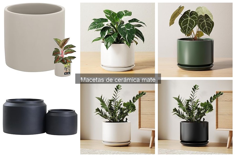 Mejores marcas de macetas de cerámica mate para tus plantas