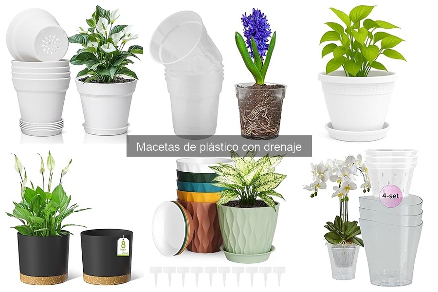 Mejores marcas de macetas de plástico con drenaje