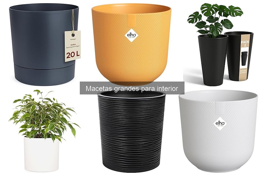 Mejores marcas de macetas grandes para interior
