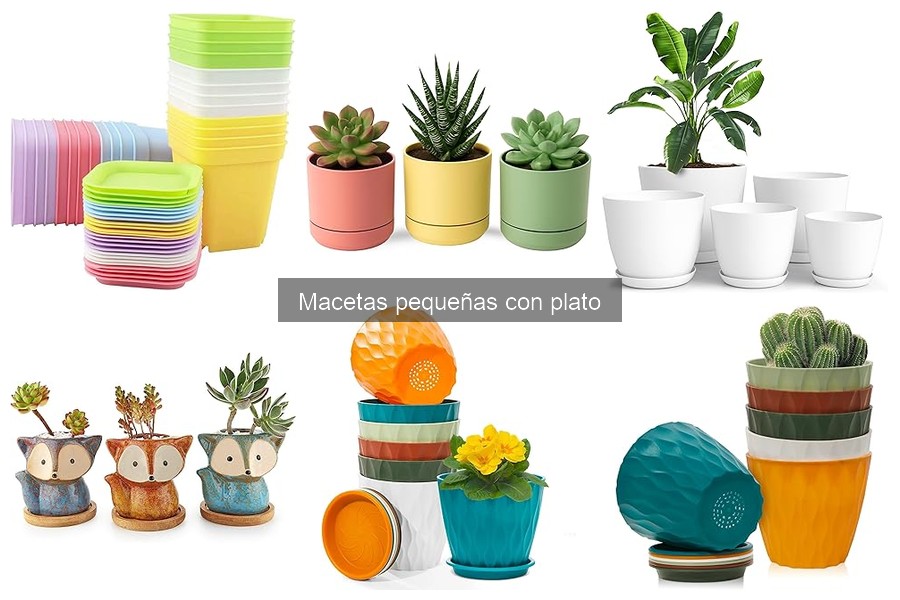Mejores marcas de macetas pequeñas con plato en 2023