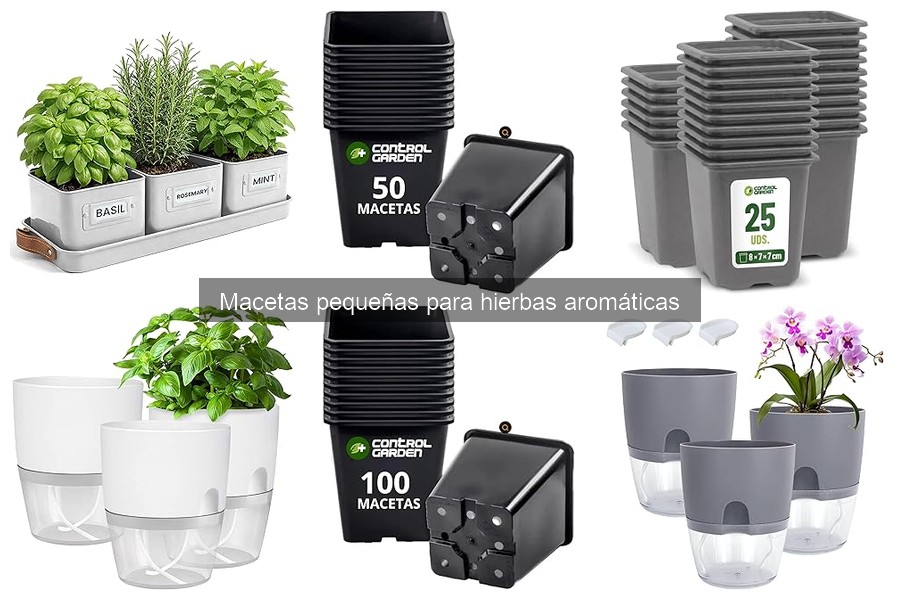 Mejores marcas de macetas pequeñas para hierbas aromáticas