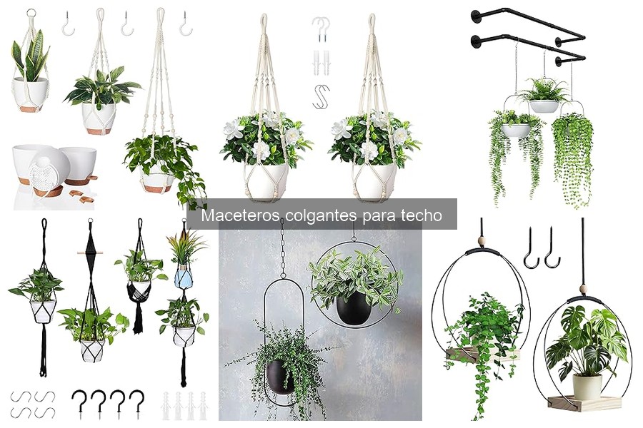 Mejores marcas de maceteros colgantes para jardín 2023