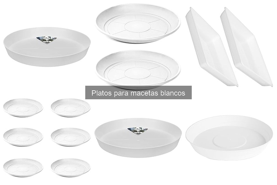 Mejores marcas de platos para macetas blancas en 2023