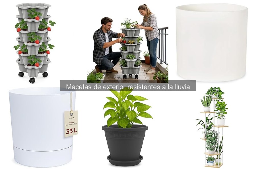 Mejores materiales para macetas de exterior en climas húmedos