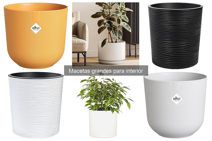 Mejores materiales para macetas grandes de interior