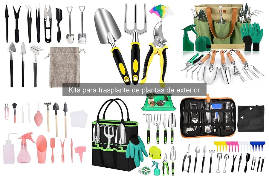 Mejores momentos para trasplantar plantas de exterior