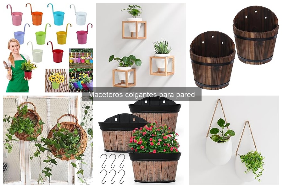 Mejores ofertas de maceteros colgantes para pared en línea