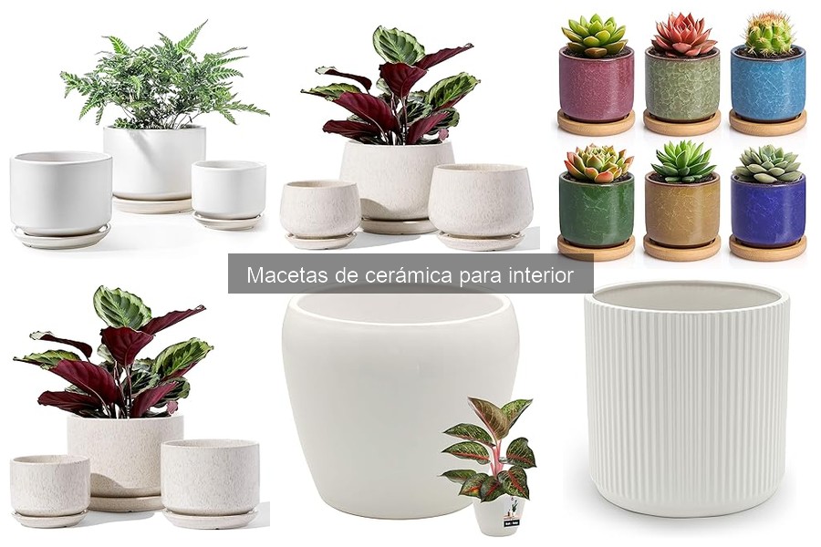 Mejores ofertas y precios de macetas de cerámica para interior