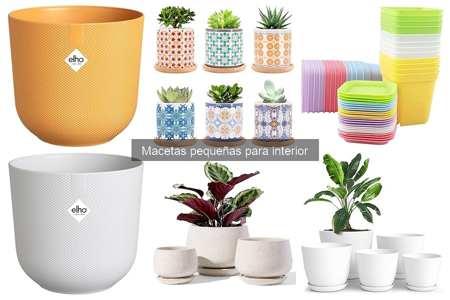 Mejores ofertas y precios de macetas pequeñas para interior
