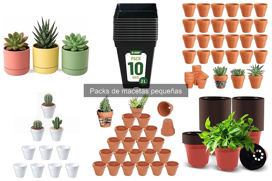 Mejores packs de macetas pequeñas para principiantes