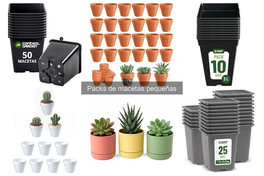 Mejores packs de macetas pequeñas para suculentas
