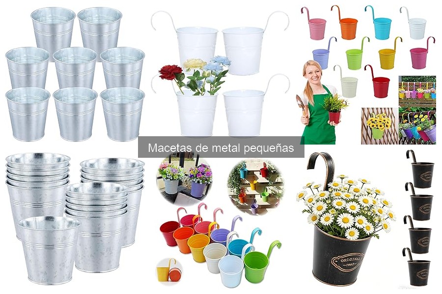 Mejores plantas para cultivar en macetas de metal pequeñas