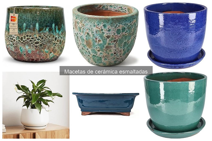 Mejores plantas para macetas de cerámica esmaltadas