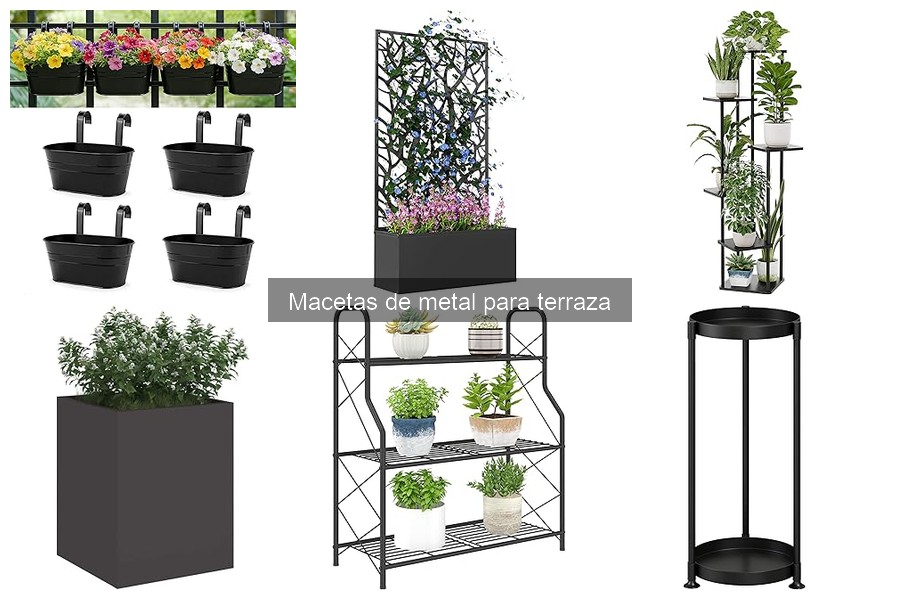Mejores plantas para macetas de metal en terraza
