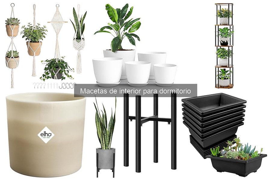Mejores plantas para macetas en el dormitorio