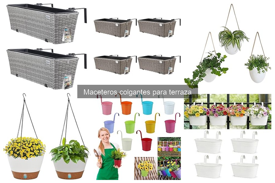 Mejores plantas para maceteros colgantes en tu terraza