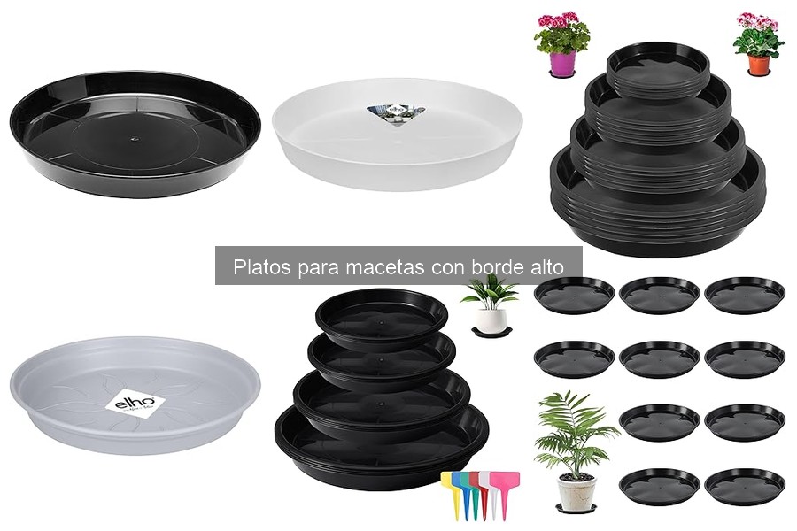 Mejores platos para macetas con borde alto: comparativa 2023