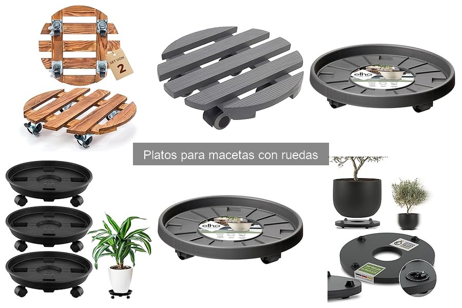 Mejores platos para macetas con ruedas en Amazon