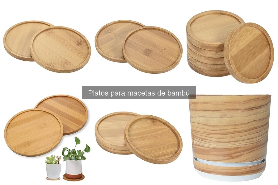 Mejores platos para macetas de bambú en Amazon