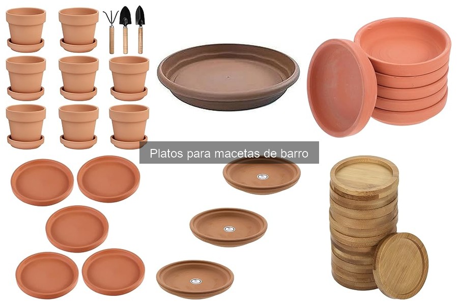 Mejores platos para macetas de barro para interiores