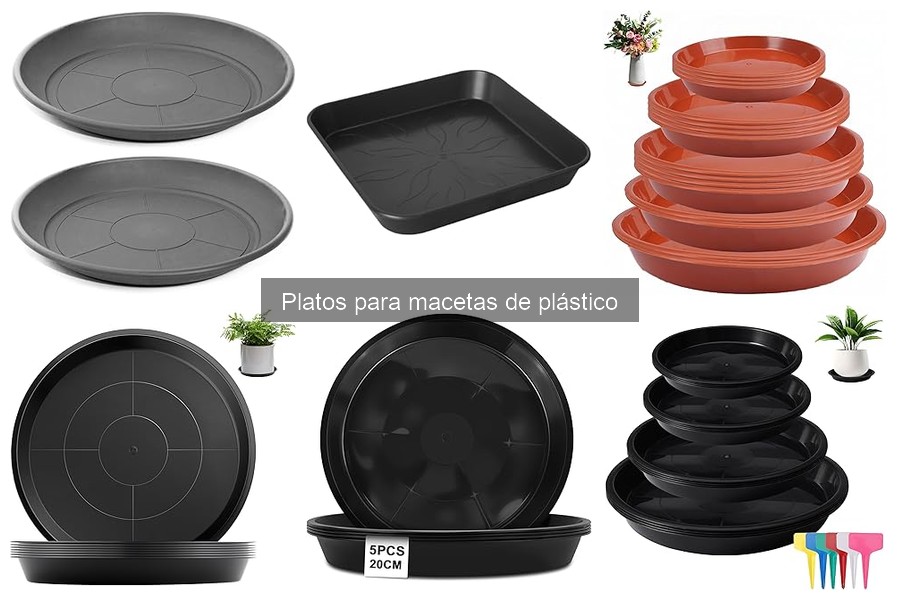 Mejores platos para macetas de plástico para interior