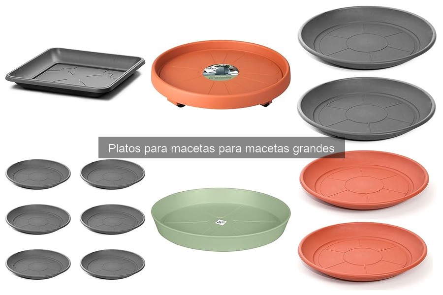 Mejores platos para macetas grandes: guía de comparación