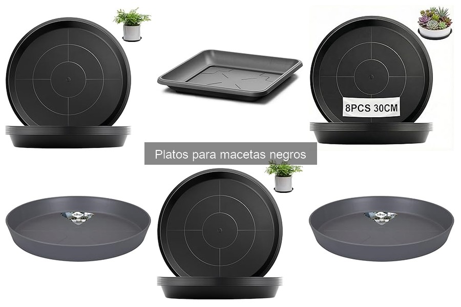 Mejores platos para macetas negros en Amazon