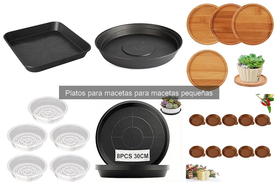 Mejores Platos para Macetas Pequeñas en 2023: Comparativa